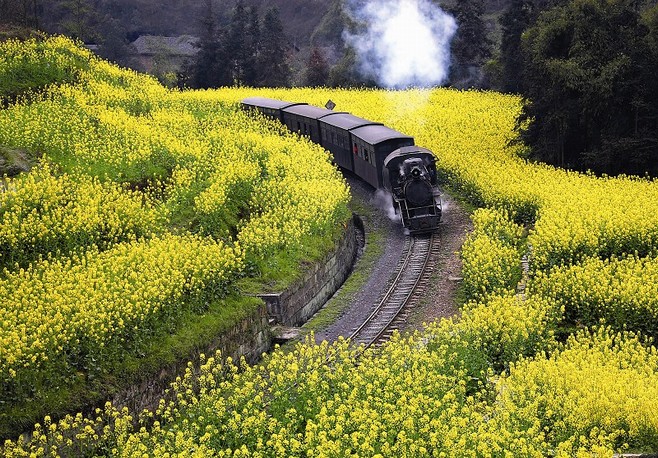 Jiayang mini steam engine train